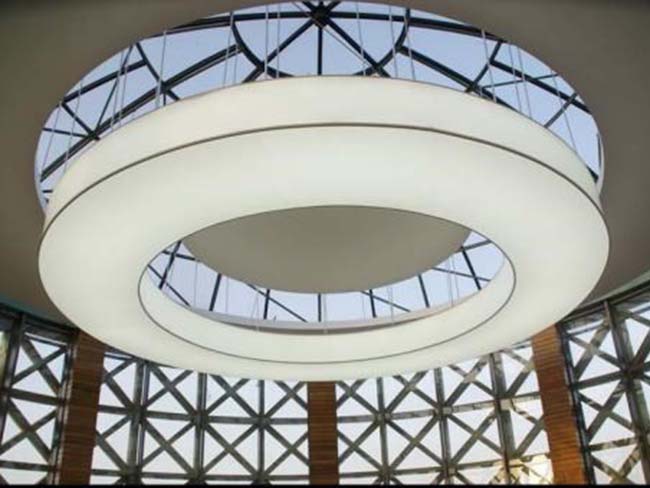 异性软膜灯(图1)